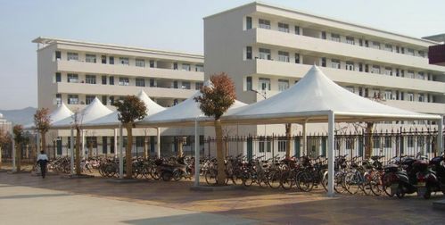 上海膜結構工程設計及施工 現代城市建設的創新藝術